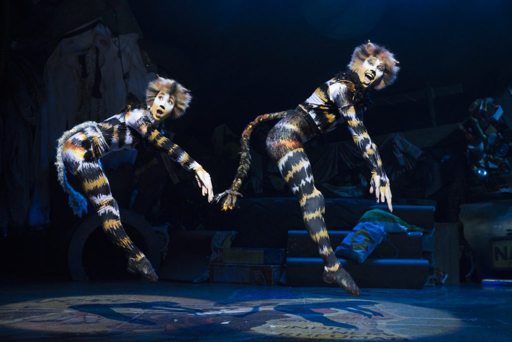 Out Of Cats Original Cast Out Of Cats Original Cast